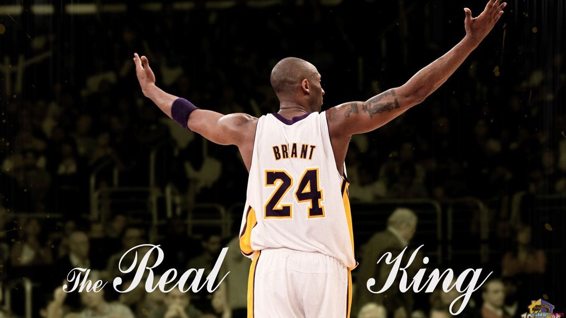 季后赛激战正酣,豪强争霸悬念迭起